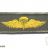 Navy and Marine Corps Parachutist Wings