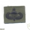 US Army Senior Parachutist wings, embroidered, black on olive green