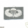 US Army Basic Parachutist wings, embroidered, white on olive green