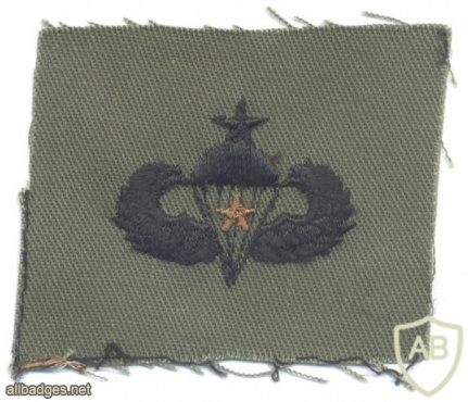 US Army Senior Parachutist wings with 1 Combat jump star, embroidered, black on olive green img57475
