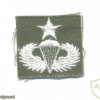 US Army Senior Parachutist wings, embroidered, white on olive green