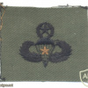 US Army Master Parachutist wings with 1 Combat jump star, embroidered, black on olive green