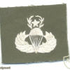 US Army Master Parachutist wings, embroidered, white on olive green