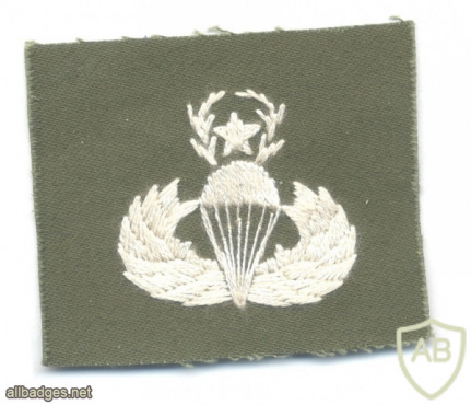 US Army Master Parachutist wings, embroidered, white on olive green img57479