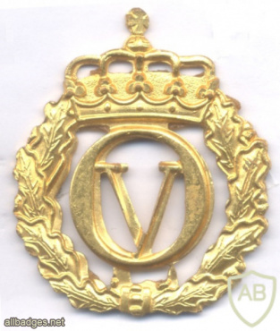 NORWAY - Norwegian Army hat beret badge, 1957-1991 img57459
