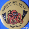 официальный значок участников соревнований, судейской коллегии, тренеров и обслуживающего персонала ПЕРВЕНСТВО СССР по подводному спорту (юноши) в Кишинёве в в 1979 г img57496