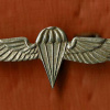 Parachute wings img57547