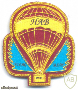 INDIA Indian Air Force Hot Air Balloon (HAB) operator pilot badge, bullion img57650