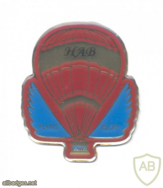 INDIA Indian Air Force Hot Air Balloon (HAB) operator pilot badge, metal img57652