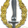 SPAIN Army Special Operations Groups (GOE) beret badge
