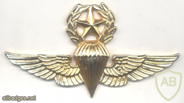 Honduras Army Master parachute wings, metal img57658