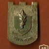 יובל- 50 שנים לחטיבת עציוני - חטיבה- 6