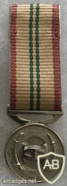 South Africa - Intelligence Services Distinguished Service Medal (Silver) (Mess Dress) img57791