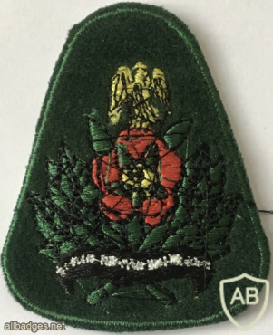 Nigerian Army Intelligence Corps Beret Badge img57772