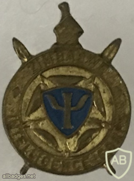 Zimbabwean Army Intelligence Collar Badge (RIGHT) img57786