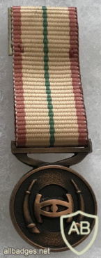 South Africa - Intelligence Services Distinguished Service Medal (Bronze) (Mess Dress) img57792