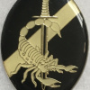 Angola Army Intelligence Badge