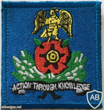 Nigerian Army Intelligence Corps Patch img57775