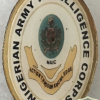 Nigerian Army Intelligence Corps Badge