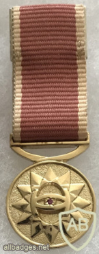 South Africa - Intelligence Services Medal for Valour (Mess Dress) img57793