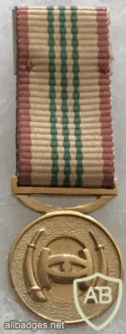 South Africa - Intelligence Services Distinguished Service Medal (Gold) (Mess Dress) img57790