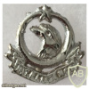 Pakistan Army Intelligence Collar Badge (Right)
