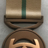 South Africa - Intelligence Services Loyal Service Bronze Medal (Full Size)