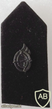 Turkish Army Intelligence Corps Collar Badge img57753