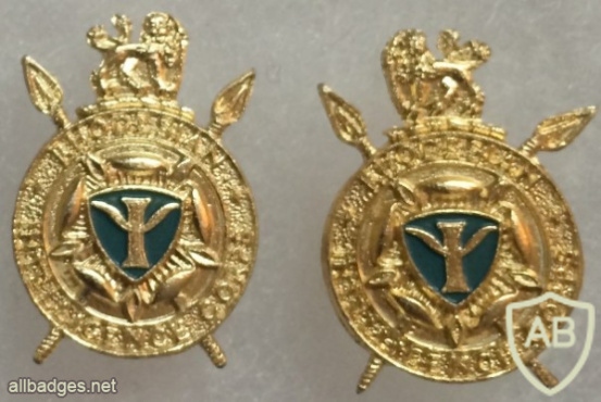 Rhodesian Army Intelligence Beret Collar Badges img57783