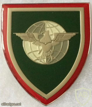 South African Army Strategic Intelligence Shoulder Badge img57800