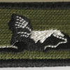 Philippines Army Intelligence Qualification Patch img57748