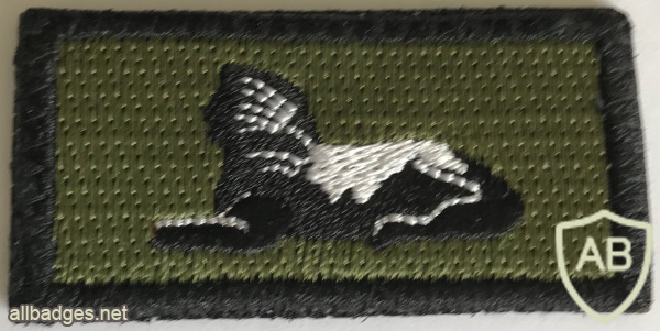 Philippines Army Intelligence Qualification Patch img57748