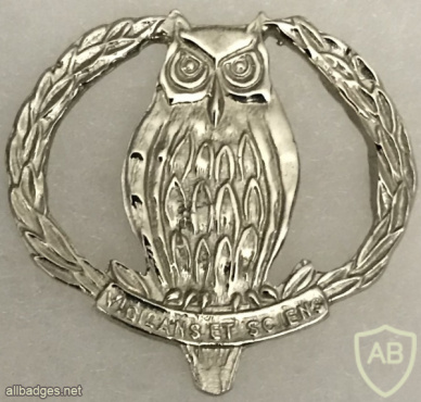 South African Army Intelligence Instructor Badge img57799