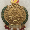 General Intelligence Directorate Strategic Intelligene Badge
