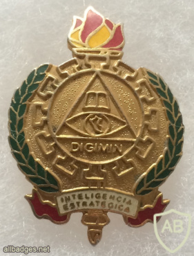 General Intelligence Directorate Strategic Intelligene Badge img57760