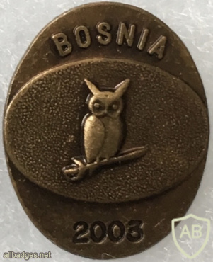 Romanian Directorate of Military Intelligence - Bosnia 2003 -  Pin img57895