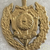 Belarus State Security (KGB/KDB) Collar Badge