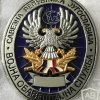 Serbian Military Intelligence Service Badge