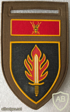 South Africa Intelligence School 'tupperware' shoulder flash img57964