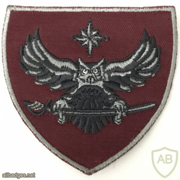 Estonia Military Intelligence Patch img57854