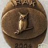 Romanian Directorate of Military Intelligence - Iraq 2014 - Pin