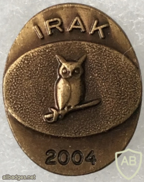 Romanian Directorate of Military Intelligence - Iraq 2004 - Pin img57889