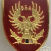 Serbian Military Security Agency Pin