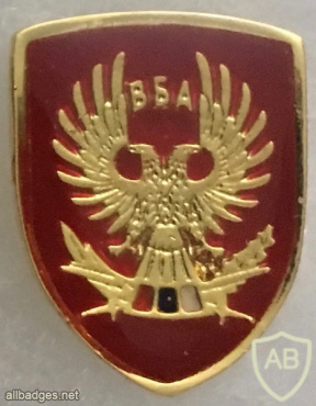 Serbian Military Security Agency Pin img57901