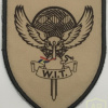 Romanian Weapons Intelligence Team Patch
