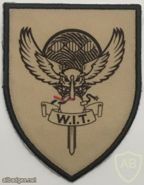 Romanian Weapons Intelligence Team Patch img57886