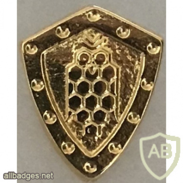 Serbian Military Intelligence Agency Officer Collar Badge img57906