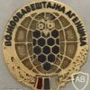 Serbian Military Intelligence Agency Pin