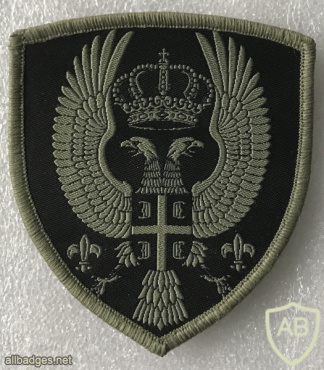 Serbian Military Security Agency Patch img57900