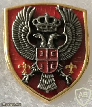 Serbian Military Security Agency Pin img57899